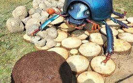 301210250_3227385967526639_8286978934208169682_n