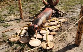 301129215_3227385844193318_6966127292059326903_n