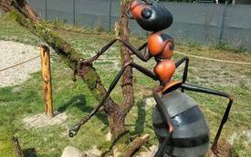 301191227_3227385854193317_3752319229212191467_n