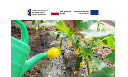 Zdjęcie artykułu z dnia 18-03-2026