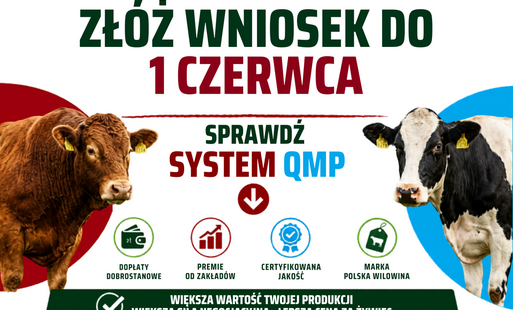 Zdjęcie artykułu z dnia 20-05-2026