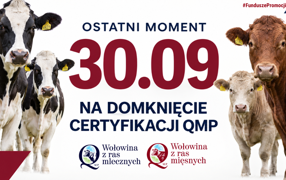 Zdjęcie artykułu z dnia 30-09-2026